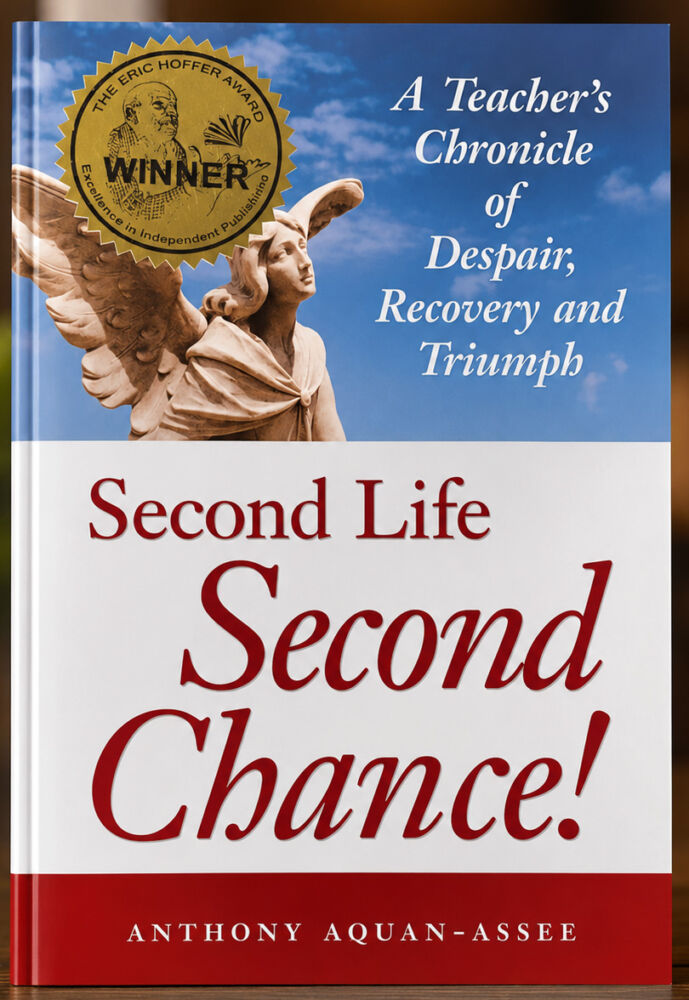Second Life Second Chance